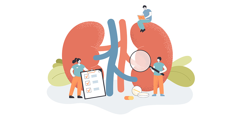 Diabetes and chronic kidney disease in elderly patients with multimorbidity - How to treat the patients safely?